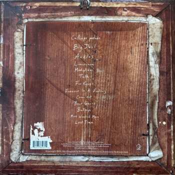 LP Lucy Dacus: Forever Is A Feeling