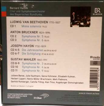 11CD/Caja Ludwig van Beethoven: Bernard Haitink Portrait