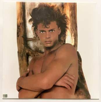 LP Luis Miguel: Busca Una Mujer