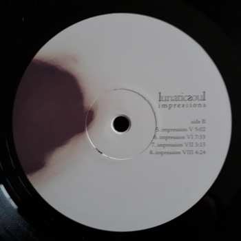 LP Lunatic Soul: Impressions