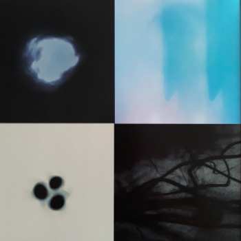 LP Lunatic Soul: Impressions