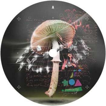 Album LUSU: Move 2 The Groove