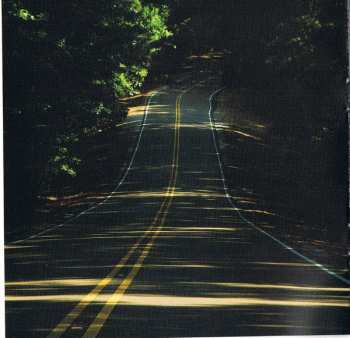 CD Luther Dickinson: Rock 'N Roll Blues