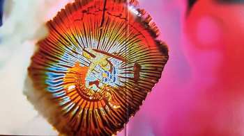 2LP Mac Declos: Nothing Stands Still