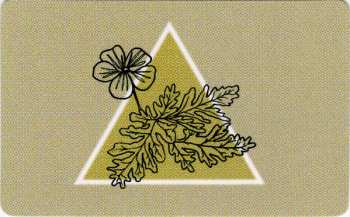 LP Madeline Kenney: Perfect Shapes LTD | CLR