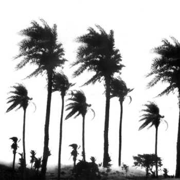 Album Magazzini Criminali: Crollo Nervoso