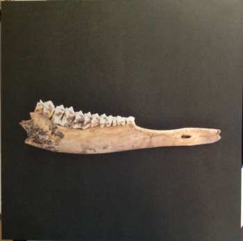 LP Magnolia Electric Co.: Josephine