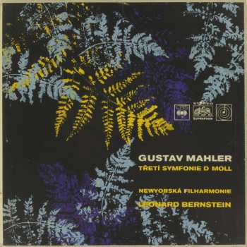 2LP/Caja Leonard Bernstein: Symfonie Č.3, D Moll