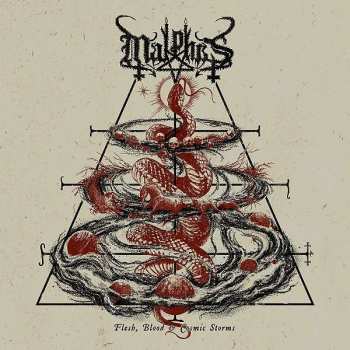 CD Malphas: Flesh, Blood & Cosmic Storms