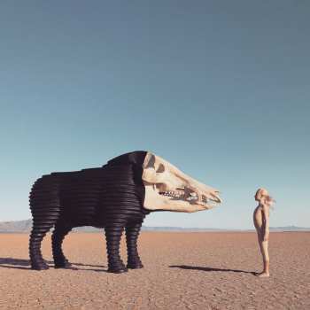 Album Man Man: Dream Hunting in the Valley of the In-Between