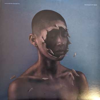 Album Manchester Orchestra: The Valley Of Vision