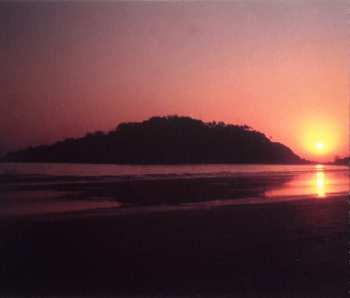 CD Mani Neumeier: Terra Amphibia 2