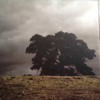 2LP Marble Sky: Marble Sky