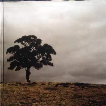 2LP Marble Sky: Marble Sky