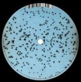 Album Marco Passarani: Colliding Stars Pt.2