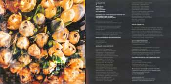 2CD Marillion: Brave Live LTD | NUM