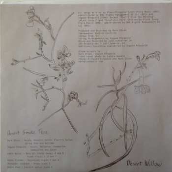 LP Mark Olson: Magdalen Accepts The Invitation