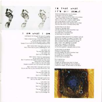 CD Mark Owen: Green Man