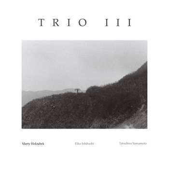 Album Marty Holoubek: Trio III