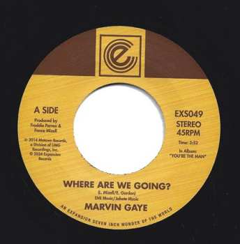 SP Marvin Gaye: Where Are We Going? / Woman Of The World