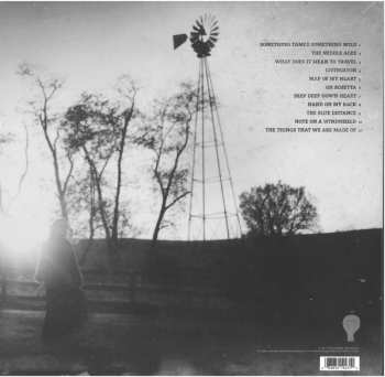 LP Mary Chapin Carpenter: The Things That We Are Made Of