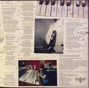 2LP Mary Timony: Mountains CLR