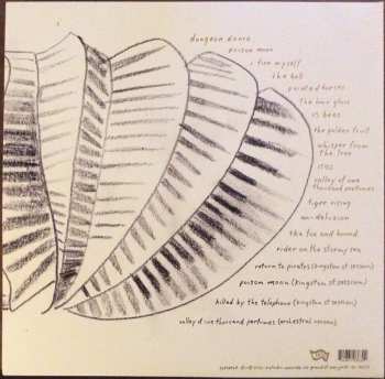 2LP Mary Timony: Mountains CLR