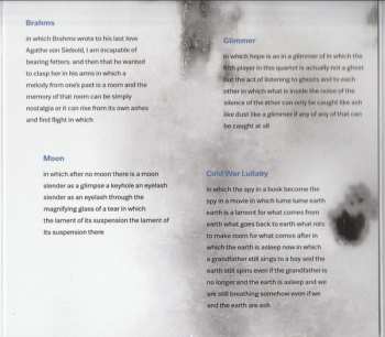 CD Mat Maneri Quartet: Ash