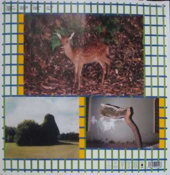 LP Mathieu Boogaerts: Promeneur