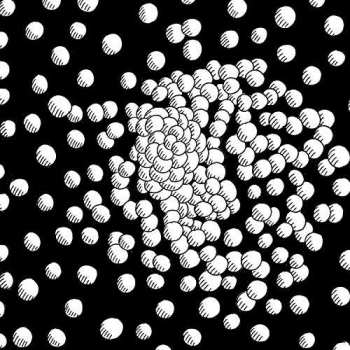 SP Matias Aguayo & The Desdemonas: Cold Fever