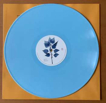 LP Matt Berninger: Get Sunk CLR | LTD