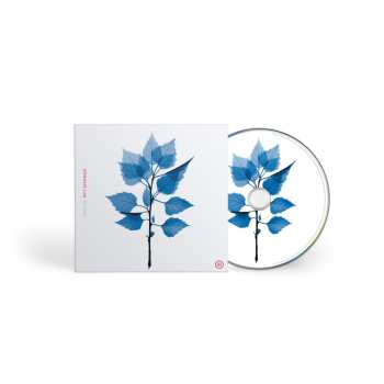 CD Matt Berninger: Get Sunk