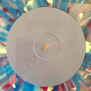 2LP Matthew Dear: Bunny LTD | CLR