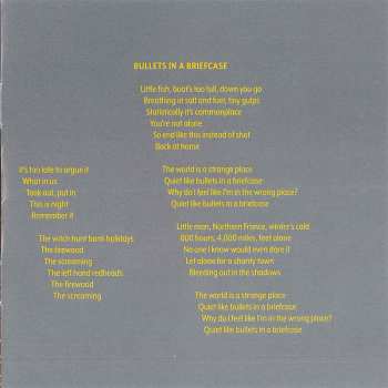 CD Matthew Good: Something Like A Storm