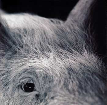 CD Matthew Herbert: One Pig