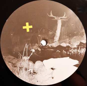 LP Maulgruppe: Hitsignale