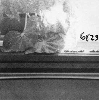 CD Max Ochs: Hooray For Another Day