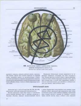 LP Maurizio Bianchi: Regel LTD