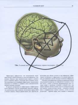 LP Maurizio Bianchi: Regel LTD