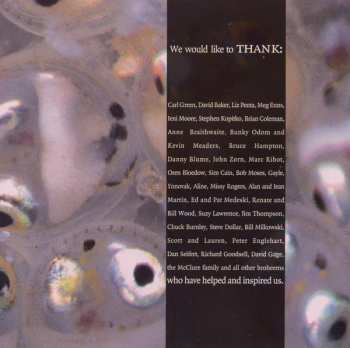 LP Medeski Martin & Wood: Friday Afternoon In The Universe