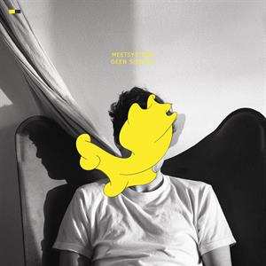 LP Meetsysteem: Geen Signaal