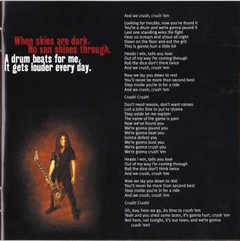 CD Megadeth: Risk