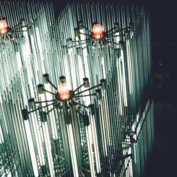 Album Merzbow: Cat Of Shell Vol.2