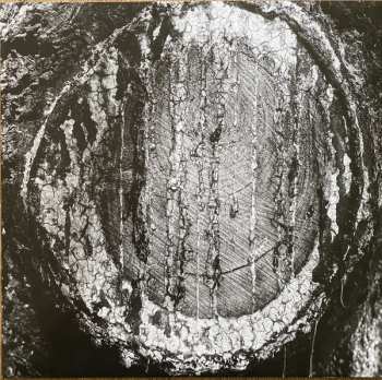 LP Merzbow: Nocturnal Rainforest