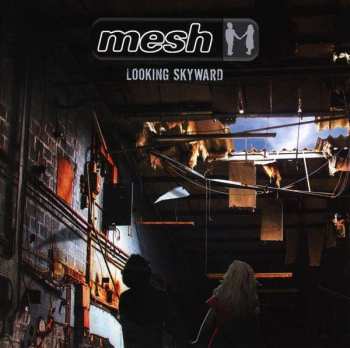 CD Mesh: Looking Skyward
