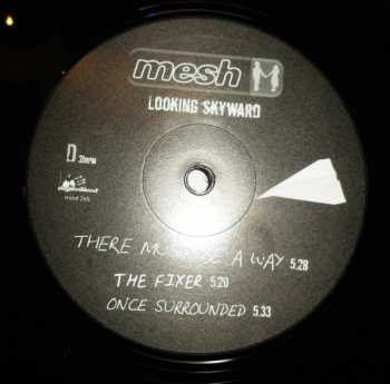 2LP Mesh: Looking Skyward LTD