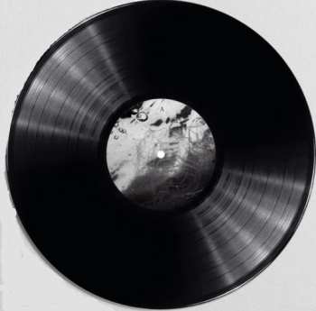 LP M(h)aol: Gender Studies LTD