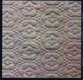 CD Micachu & The Shapes: Never