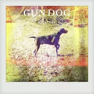 Gun Dog
