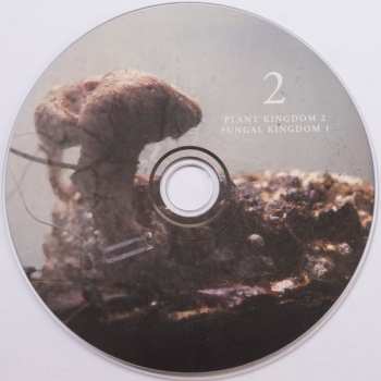 3CD/Caja Michael Prime: Bioelectrical Music